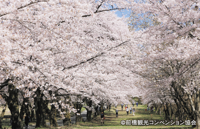 みやぎ 千本 桜の 森 公園
